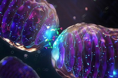 Diploma in Nutrition and Dietetics - Dec 21 - Trimester 2 cs106_din